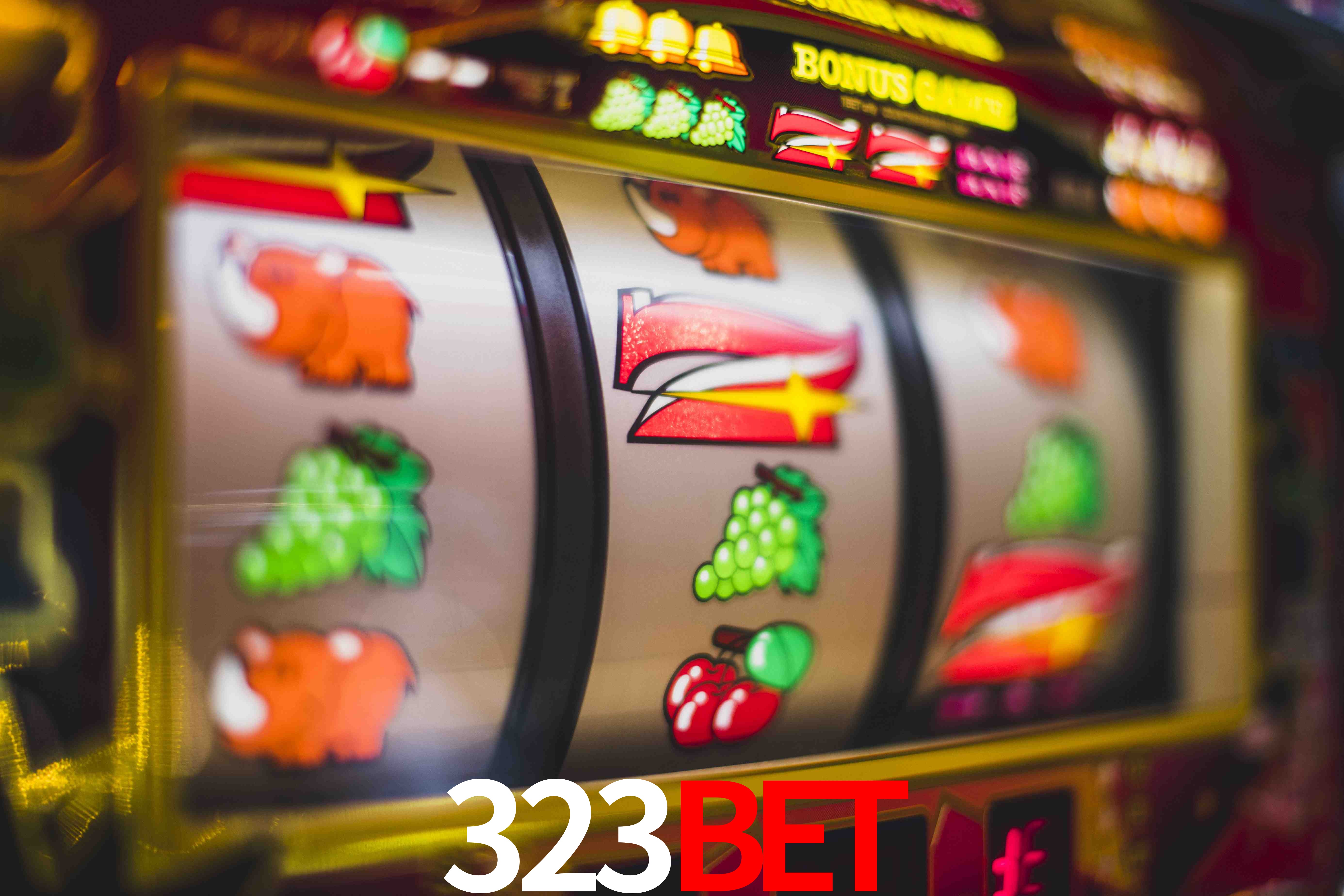 Crash Games Statistics 323Bet
